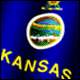 3D Kansas Flag