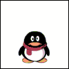 Card Penguin