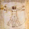 Da Vinci Vitruvian Man