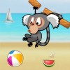 Monkey at the beach