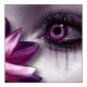 Purple eye and petals