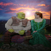 Shrek and Fiona sunset
