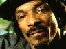 Snoop Dogg Snarling