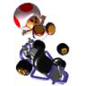 Super Mario Kart (Toadstool)