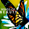 Wings of beauty
