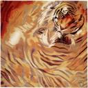 tigers lions avatars 0256